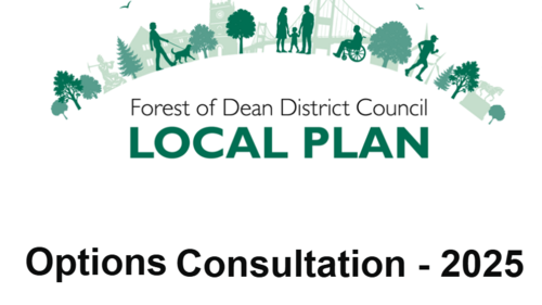 Logo for local plan consultation